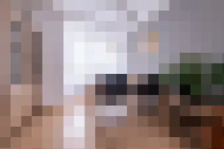 Aukemastraat 29 Roden thumbnail 11