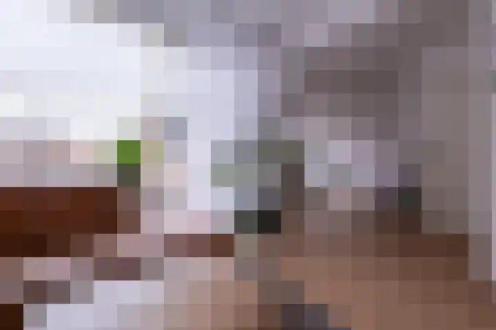 Aukemastraat 29 Roden thumbnail 13