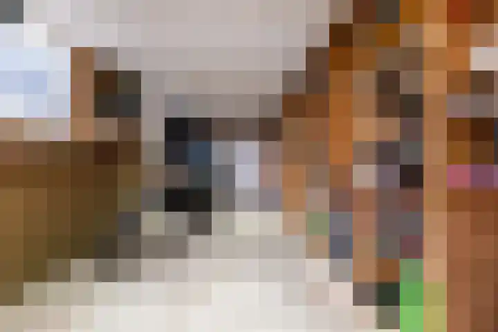 Aukemastraat 29 Roden thumbnail 30