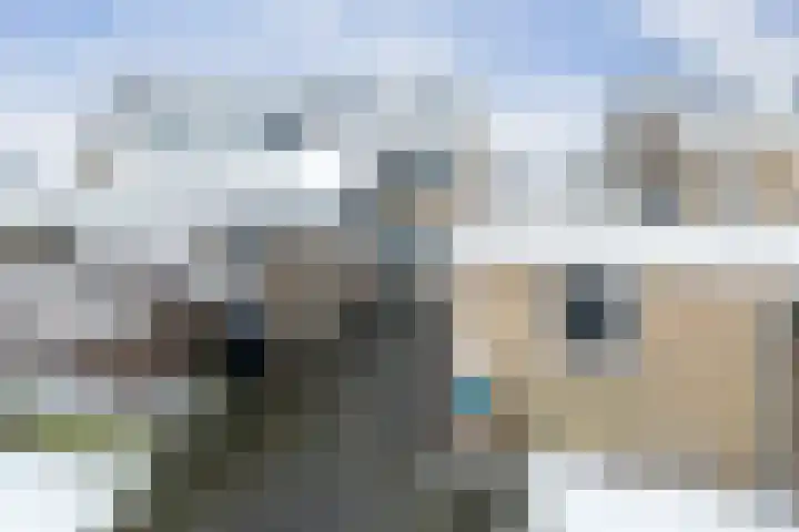 Aukemastraat 29 Roden thumbnail 36