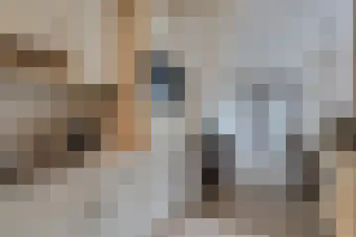 Aukemastraat 5 Roden thumbnail 21