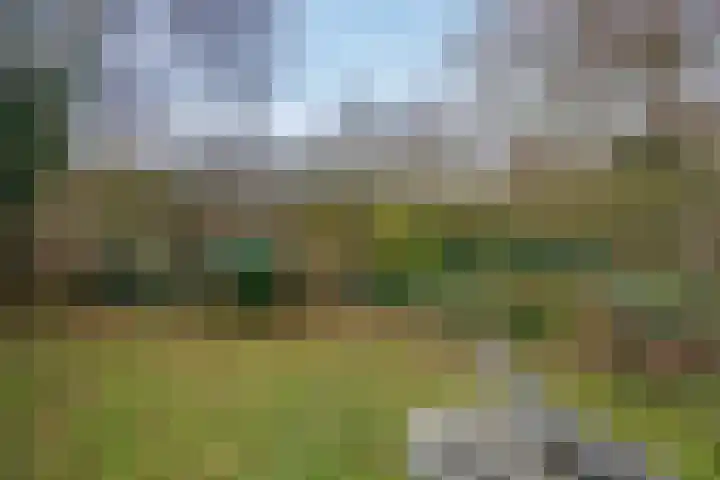 Aukemastraat 5 Roden thumbnail 29