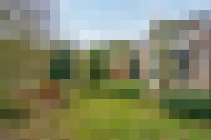 Aukemastraat 5 Roden thumbnail 30