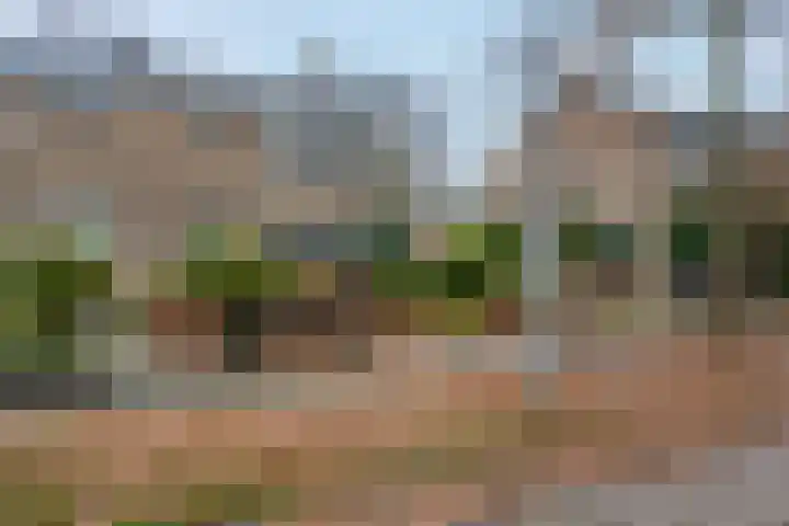 Aukemastraat 5 Roden thumbnail 4