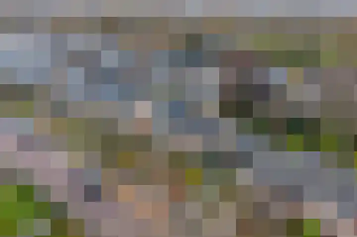 Aukemastraat 5 Roden thumbnail 44