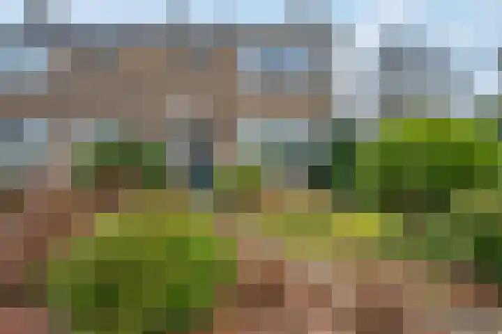 Aukemastraat 5 Roden thumbnail 5