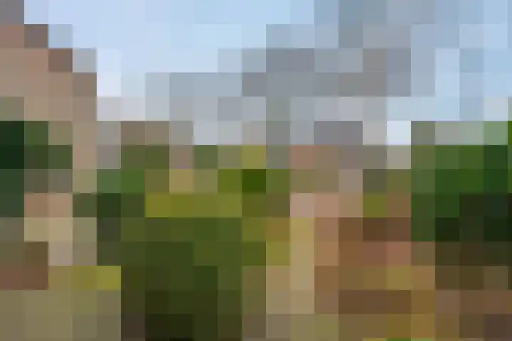 Aukemastraat 5 Roden thumbnail 7