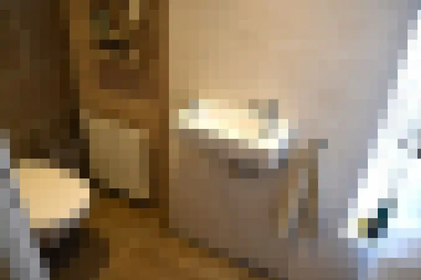 Aukemastraat 6 Roden thumbnail 22