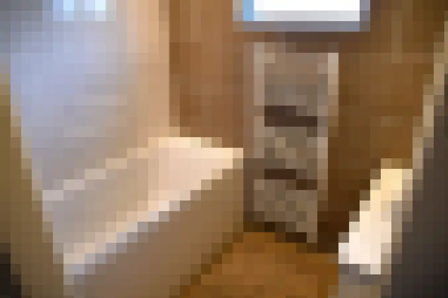 Aukemastraat 6 Roden thumbnail 28