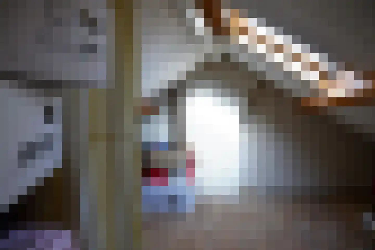 Aukemastraat 6 Roden thumbnail 29