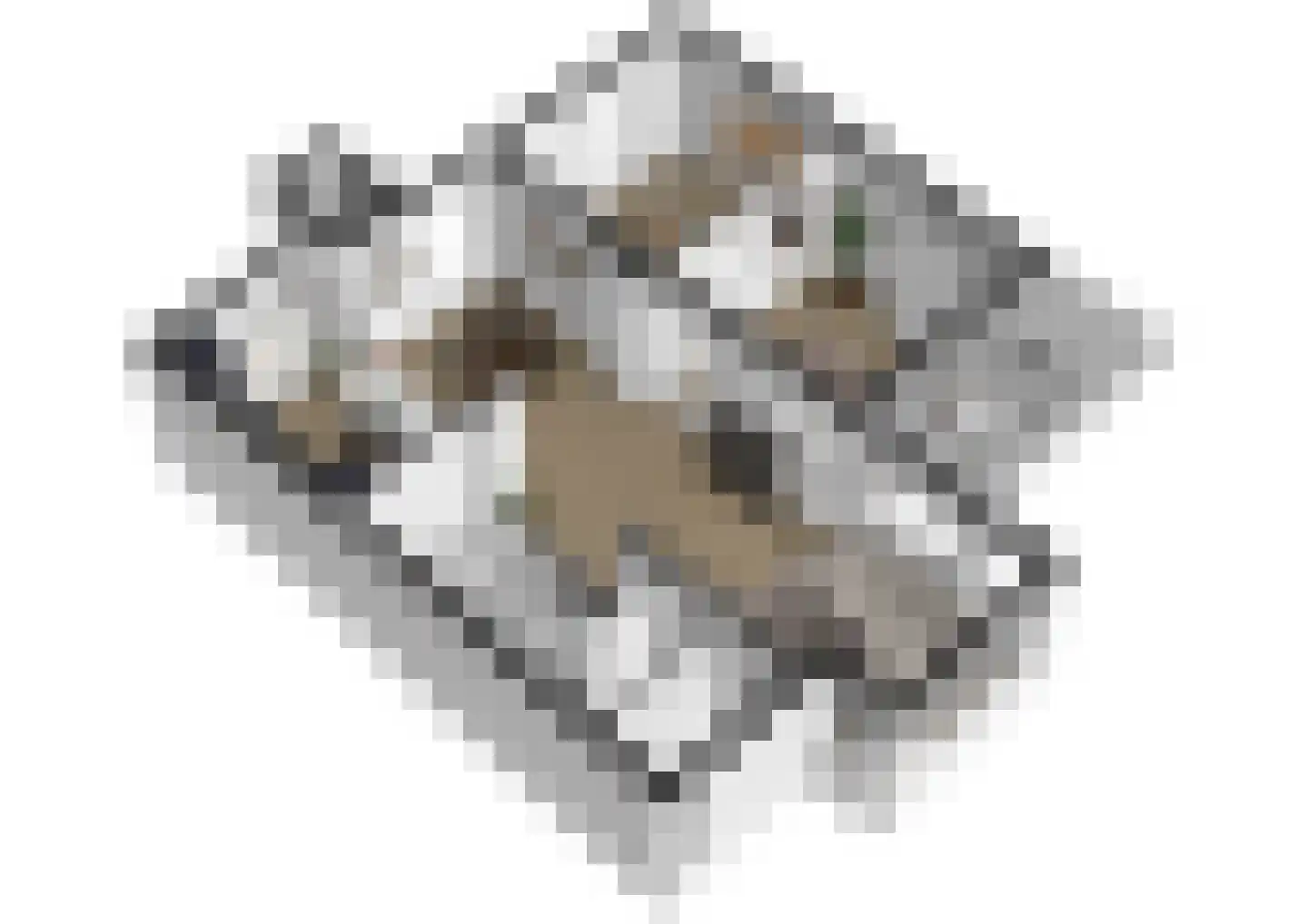 Aukemastraat 6 Roden thumbnail 30