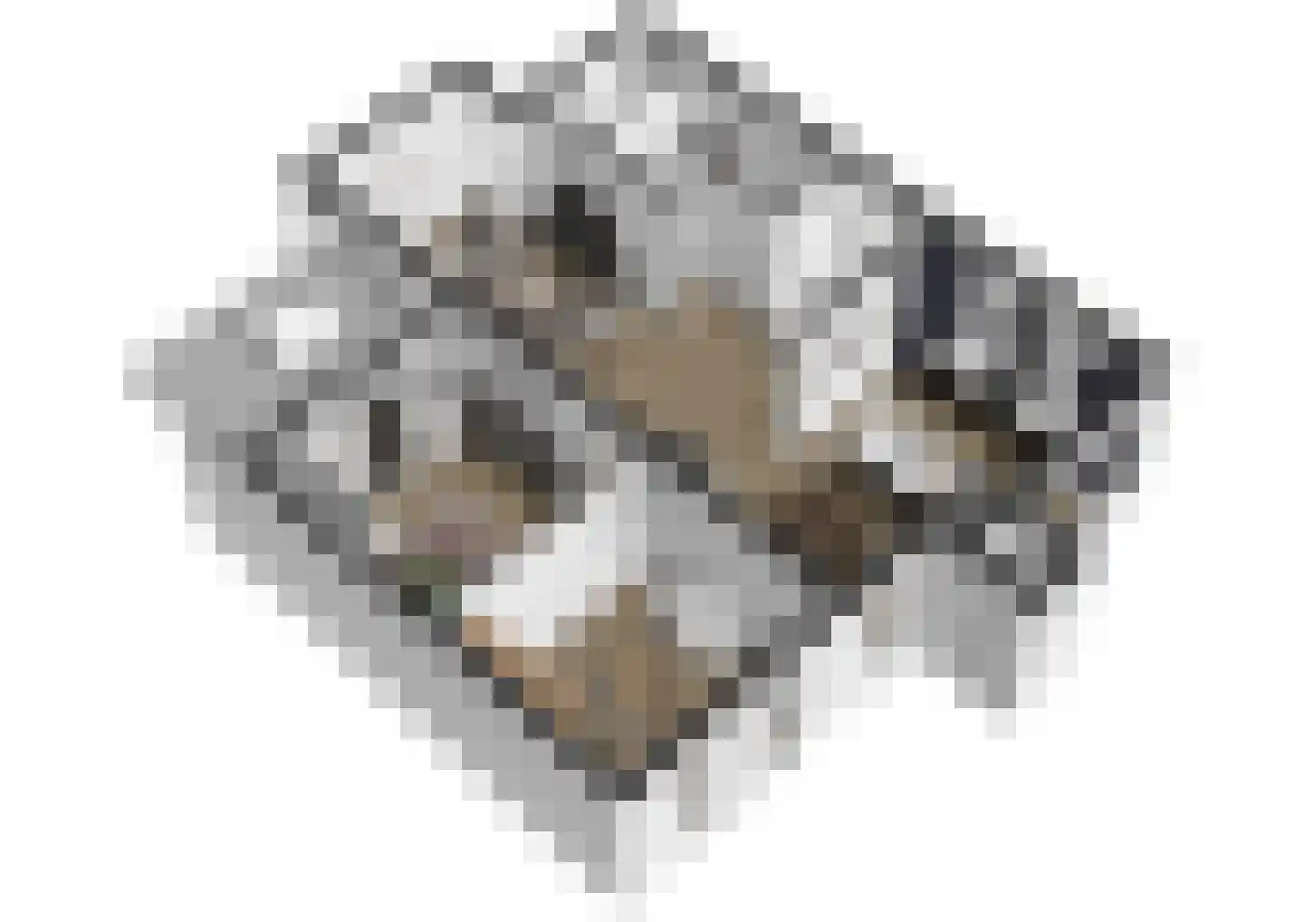 Aukemastraat 6 Roden thumbnail 31
