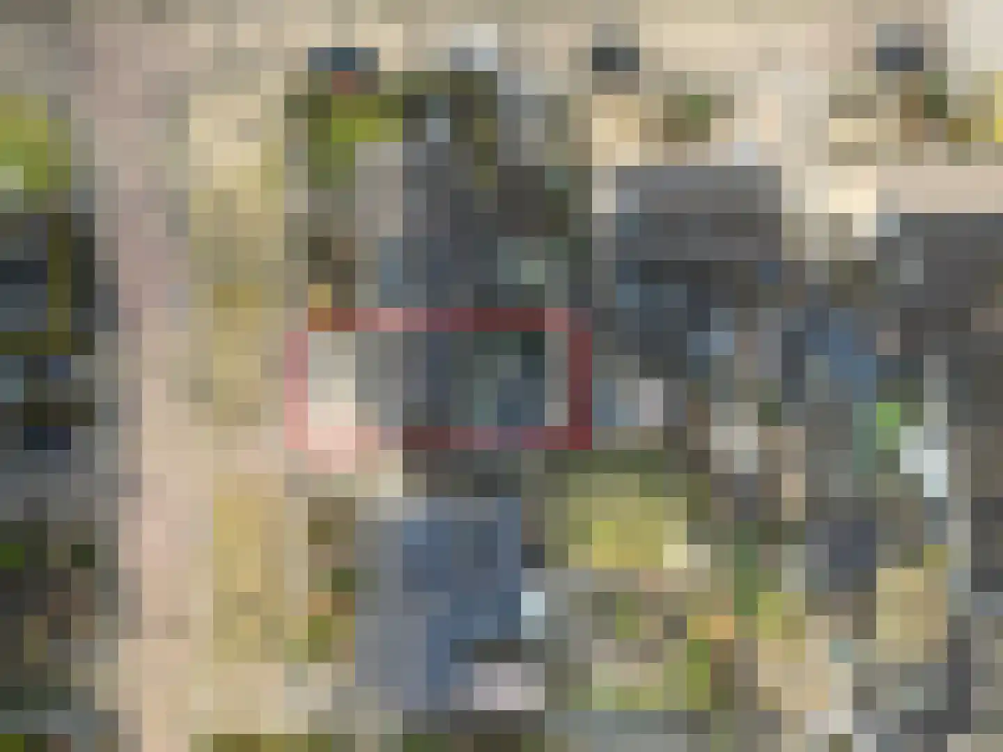Aukemastraat 6 Roden thumbnail 33
