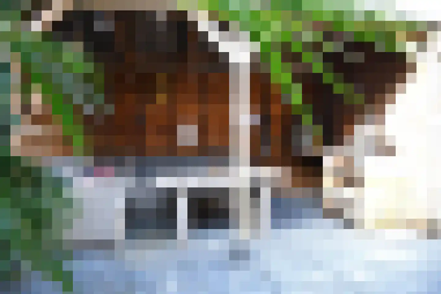 Aukemastraat 6 Roden thumbnail 35