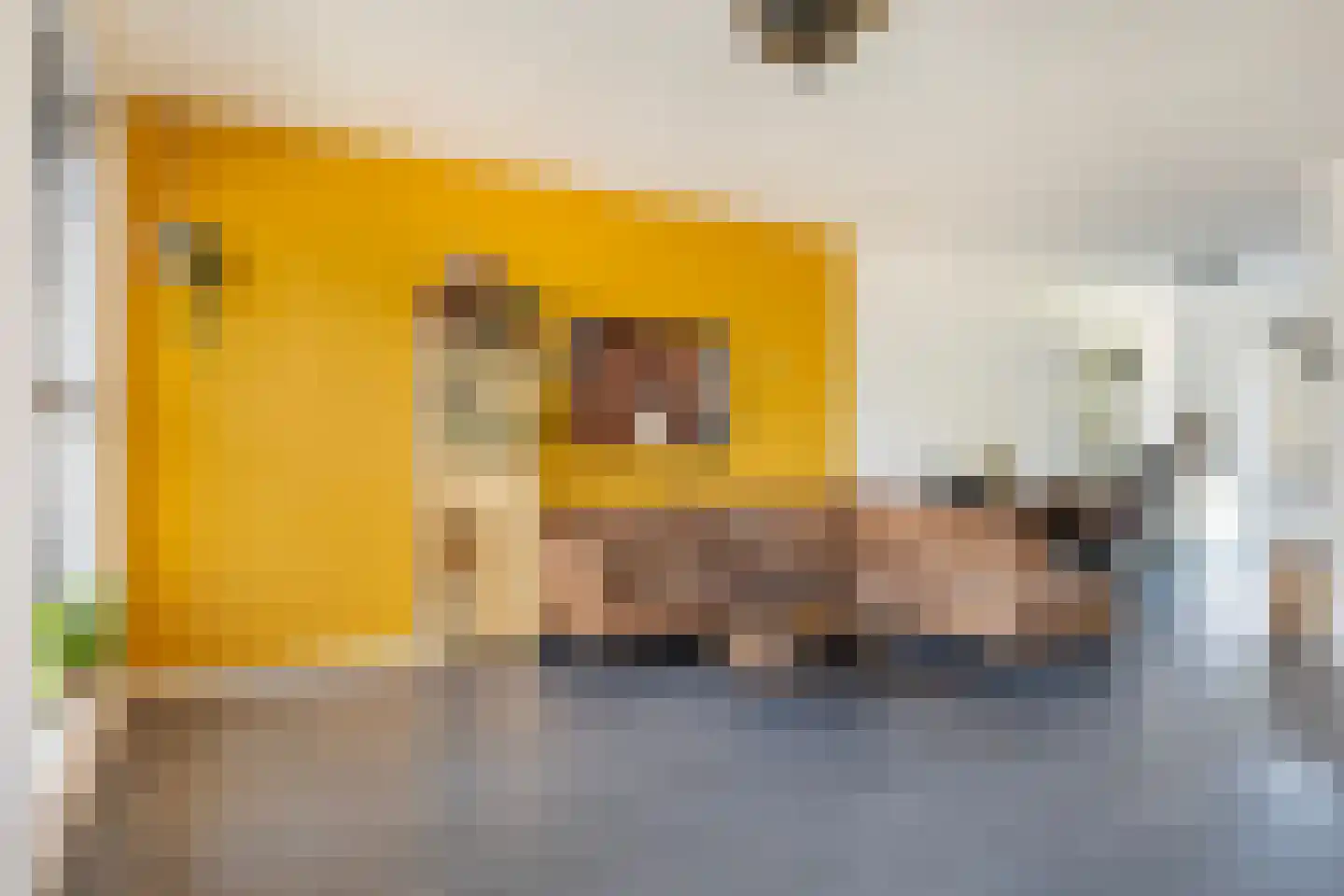 Aukjeslân 4 Goutum thumbnail 14