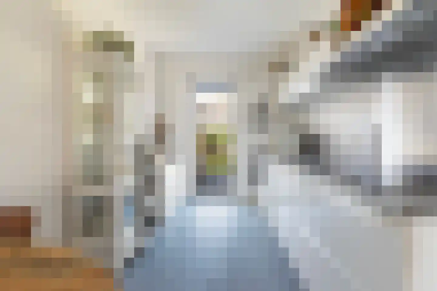 Aukjeslân 4 Goutum thumbnail 18