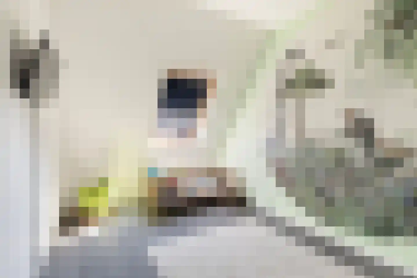 Aukjeslân 4 Goutum thumbnail 22