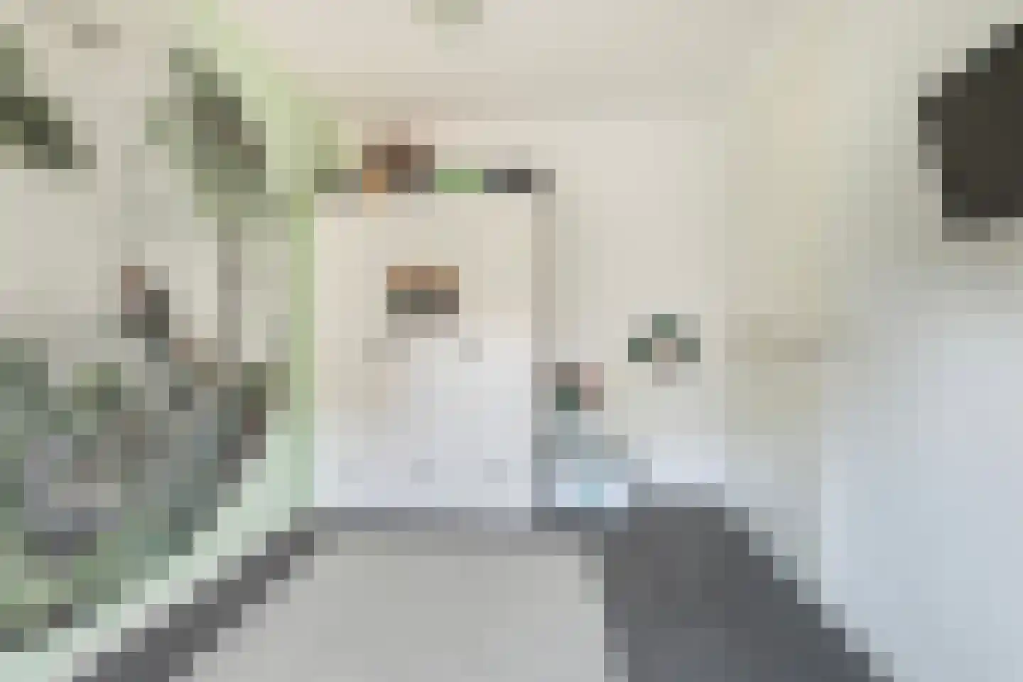 Aukjeslân 4 Goutum thumbnail 23