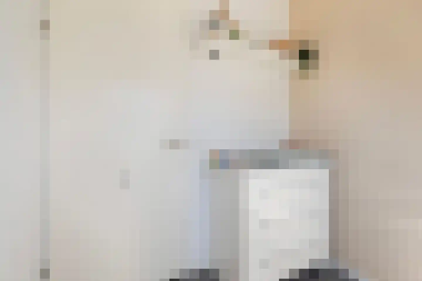 Aukjeslân 4 Goutum thumbnail 25