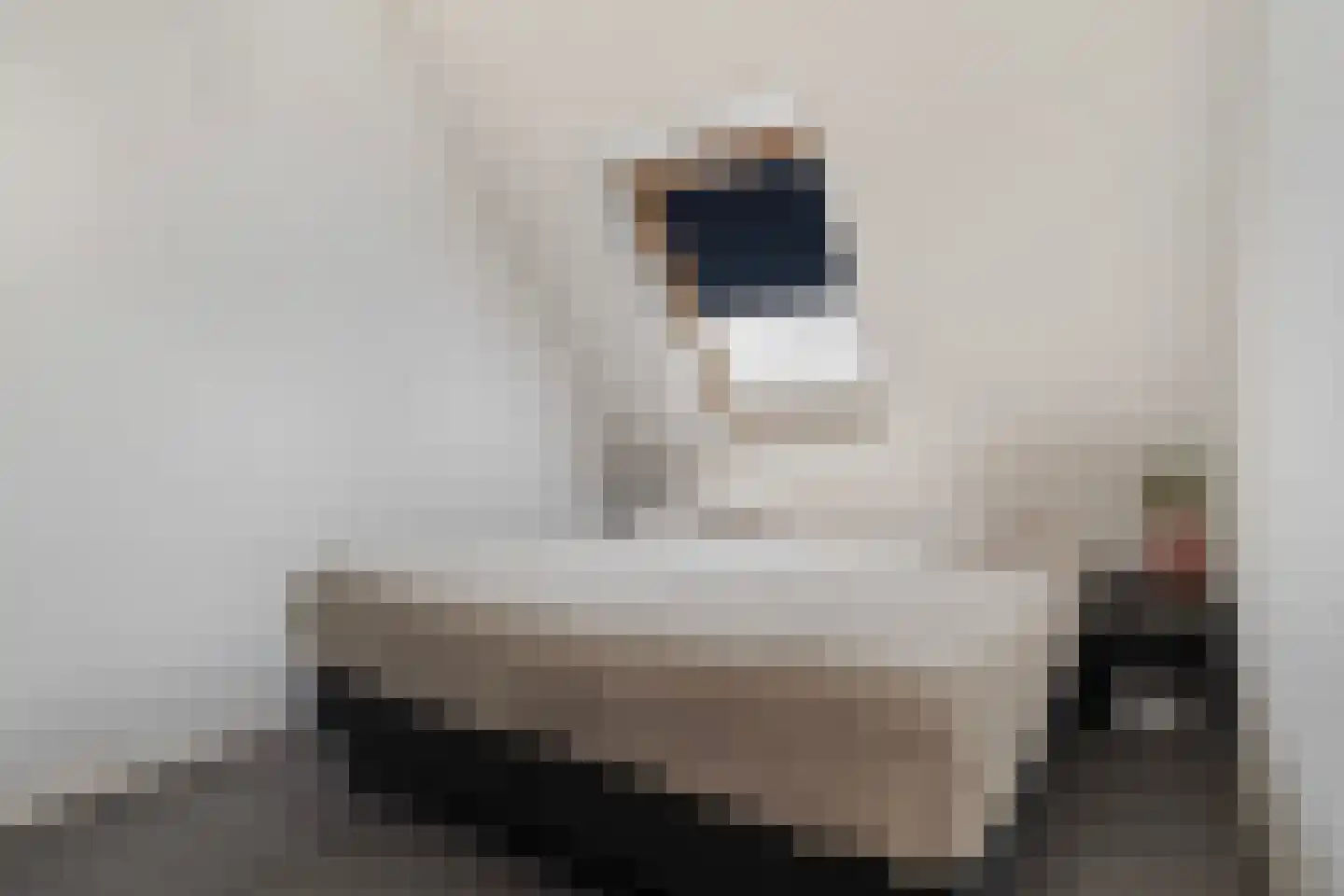 Aukjeslân 4 Goutum thumbnail 26