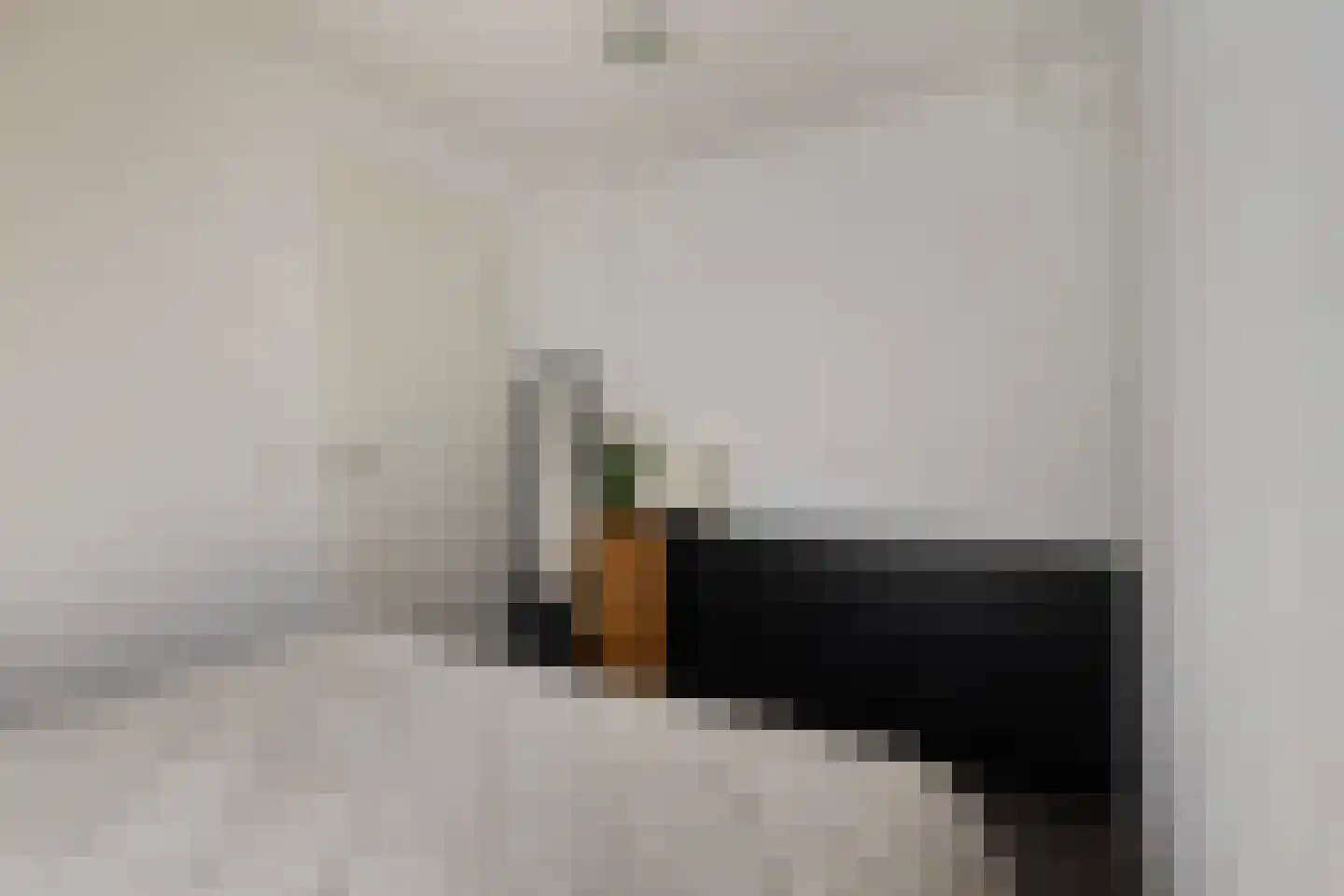Aukjeslân 4 Goutum thumbnail 27