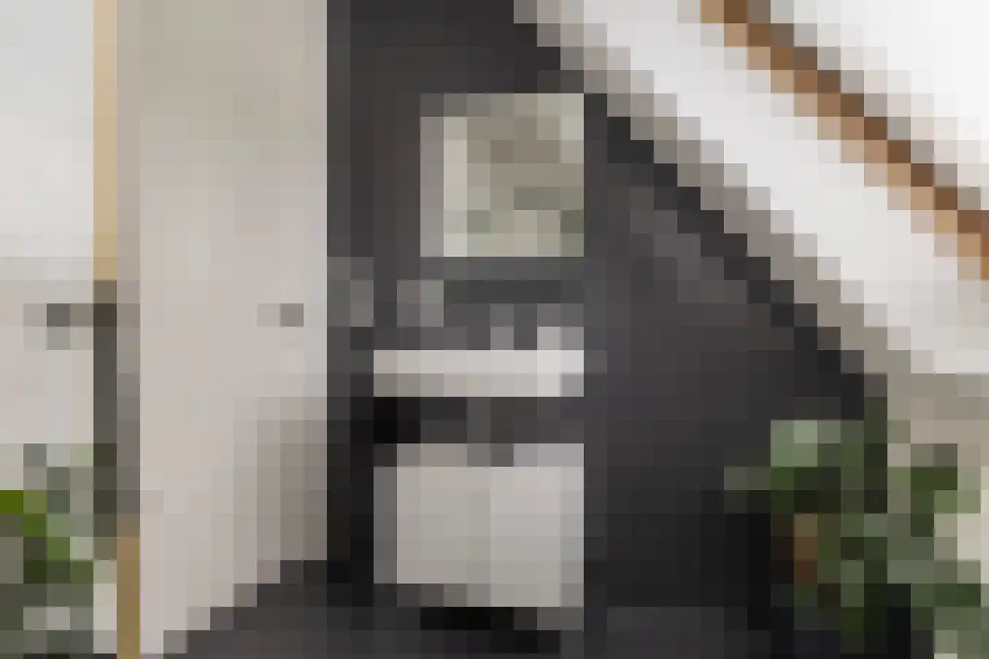 Aukjeslân 4 Goutum thumbnail 29