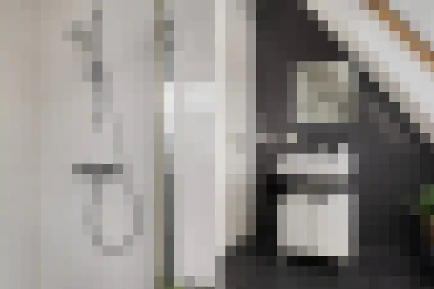 Aukjeslân 4 Goutum thumbnail 30