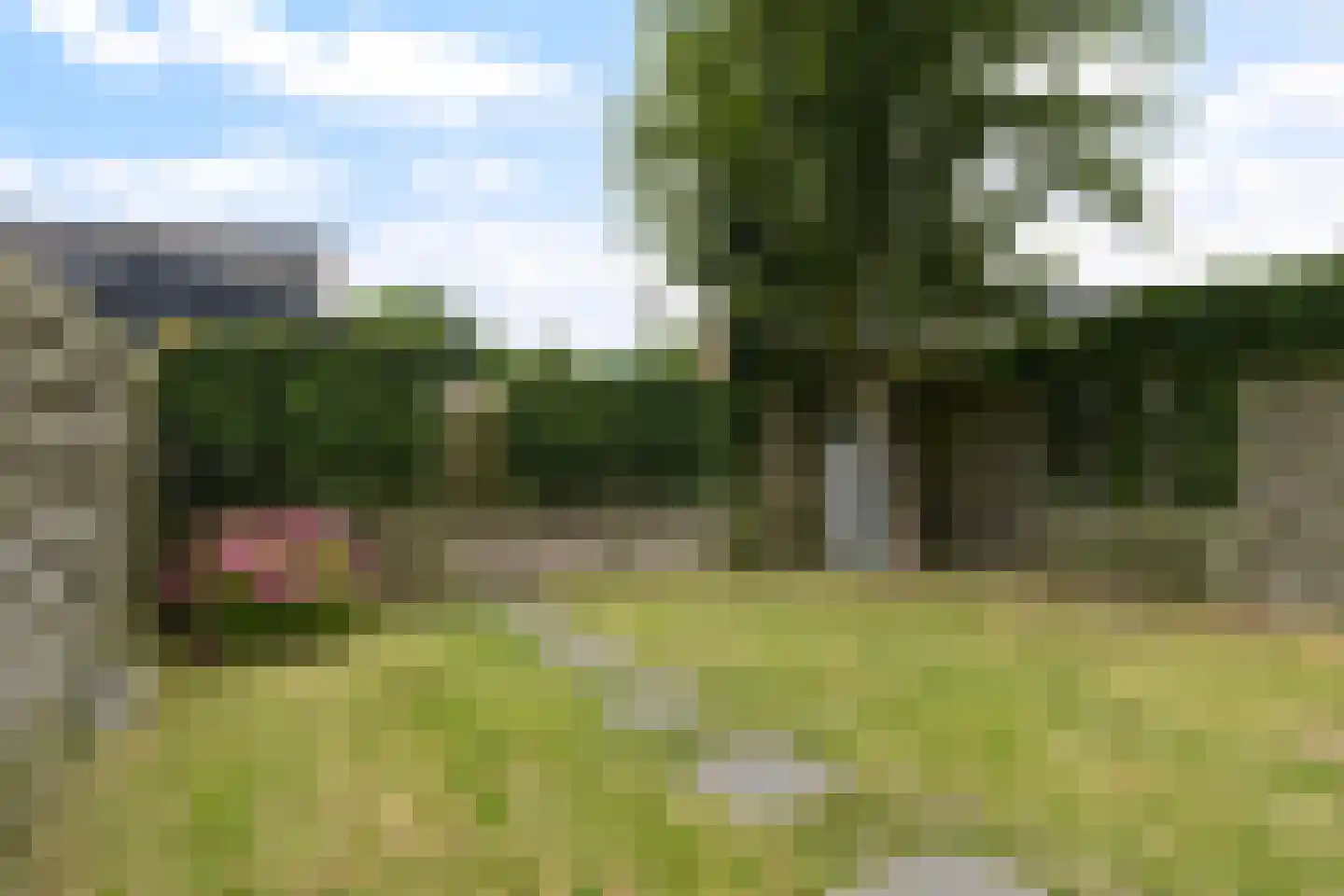 Aukjeslân 4 Goutum thumbnail 37