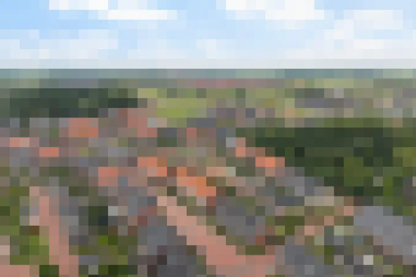 Aukjeslân 4 Goutum thumbnail 41