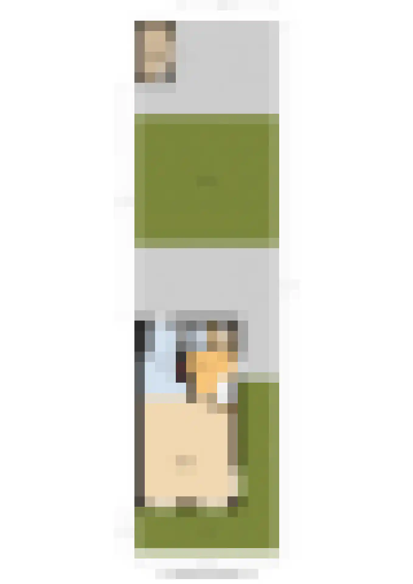 Aukjeslân 4 Goutum thumbnail 50