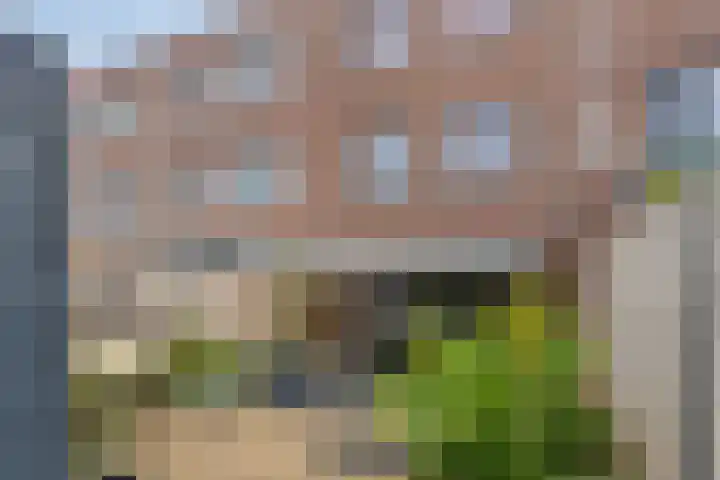 Aupingstraat 42 Deventer thumbnail 31