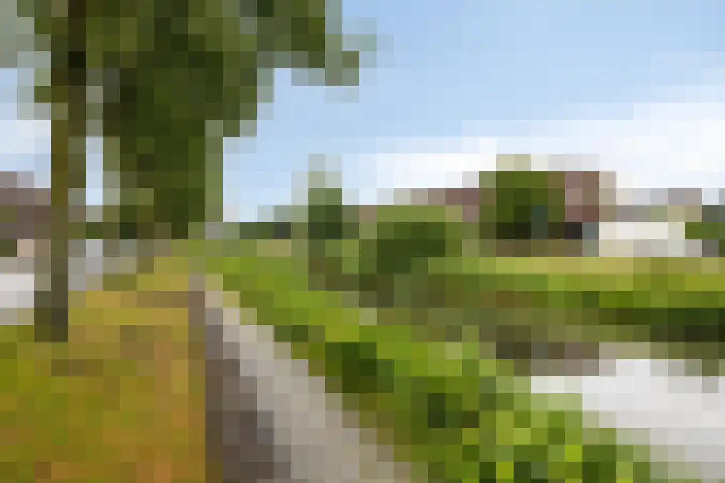 Aurelia 16 Breda thumbnail 40