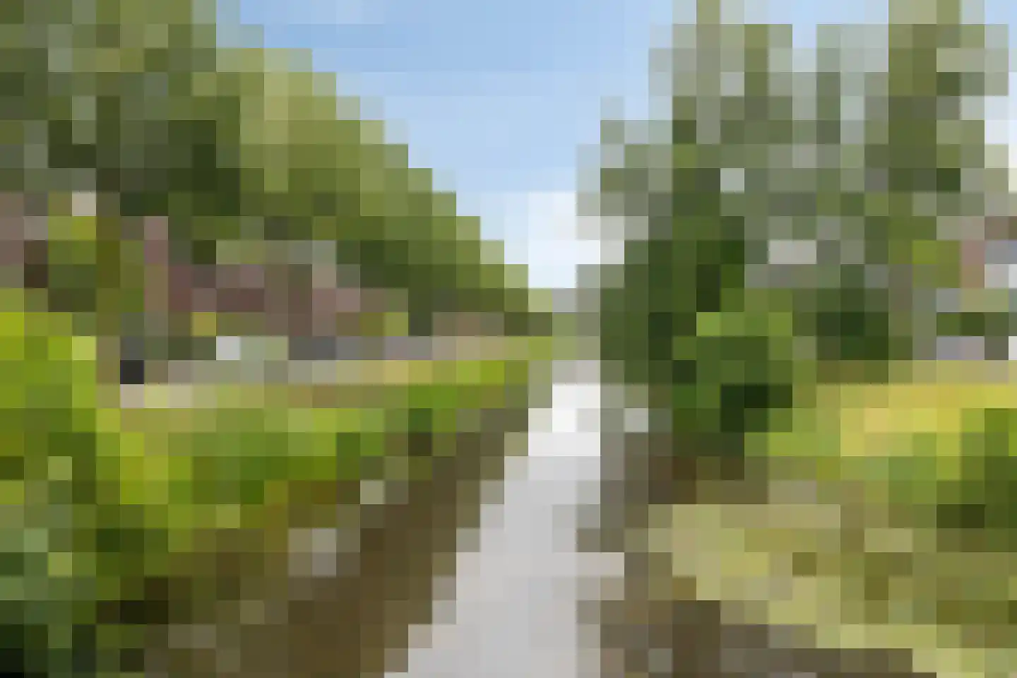 Aurelia 16 Breda thumbnail 42