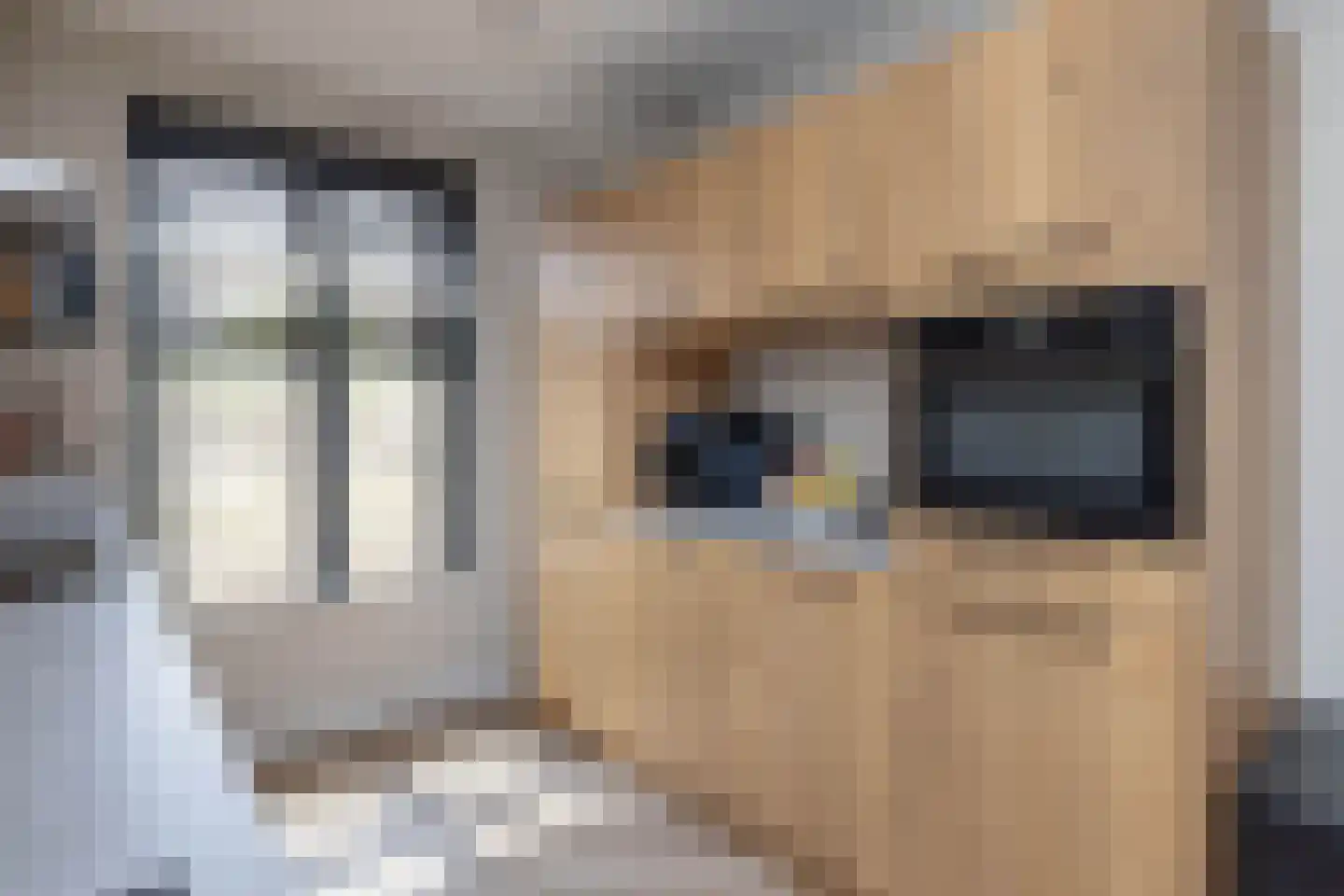 Aurelia 17 Borne thumbnail 13