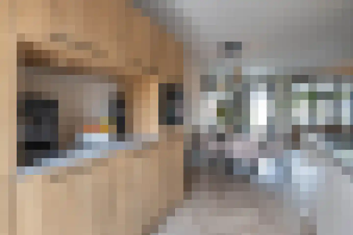 Aurelia 17 Borne thumbnail 14