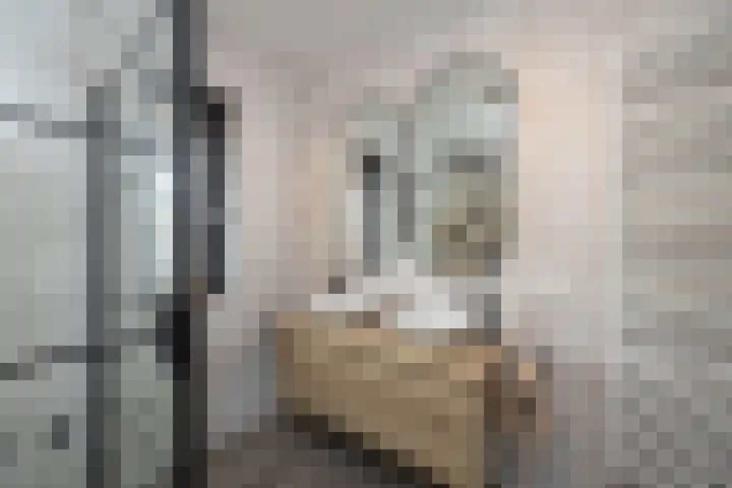 Aurelia 17 Borne thumbnail 20