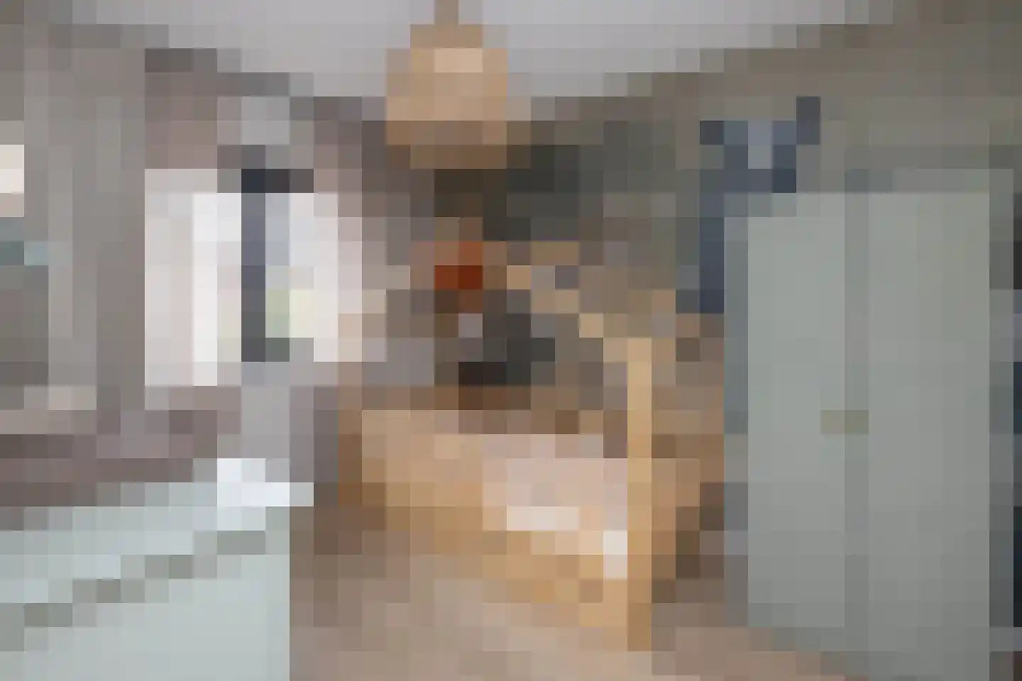 Aurelia 17 Borne thumbnail 22