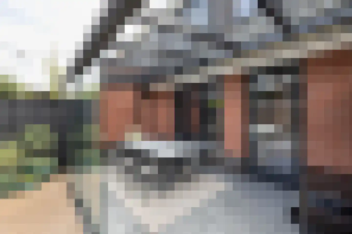 Aurelia 17 Borne thumbnail 32