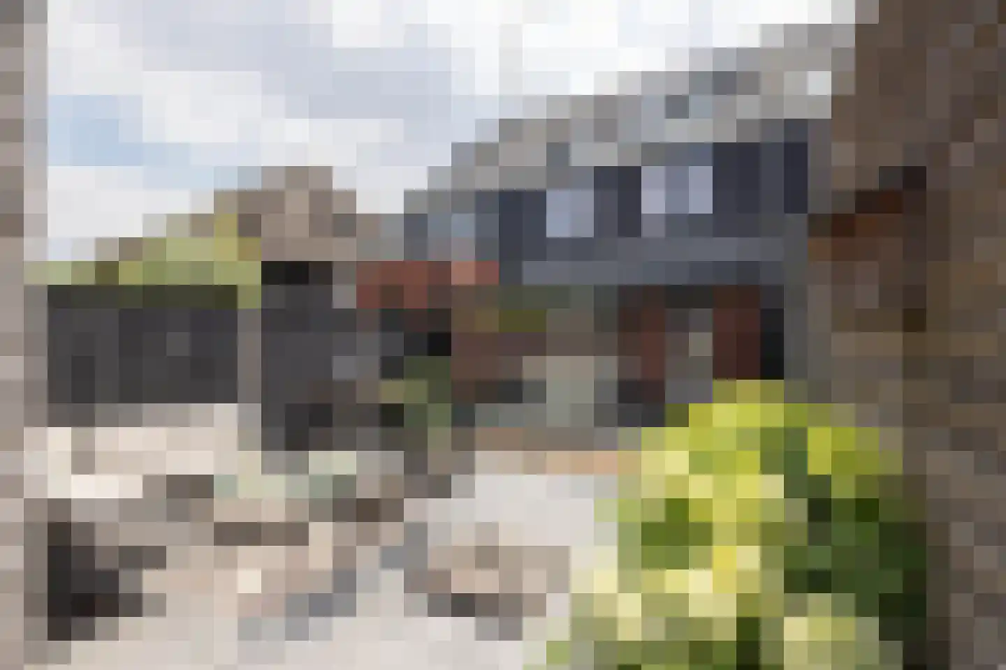 Aurelia 17 Borne thumbnail 35