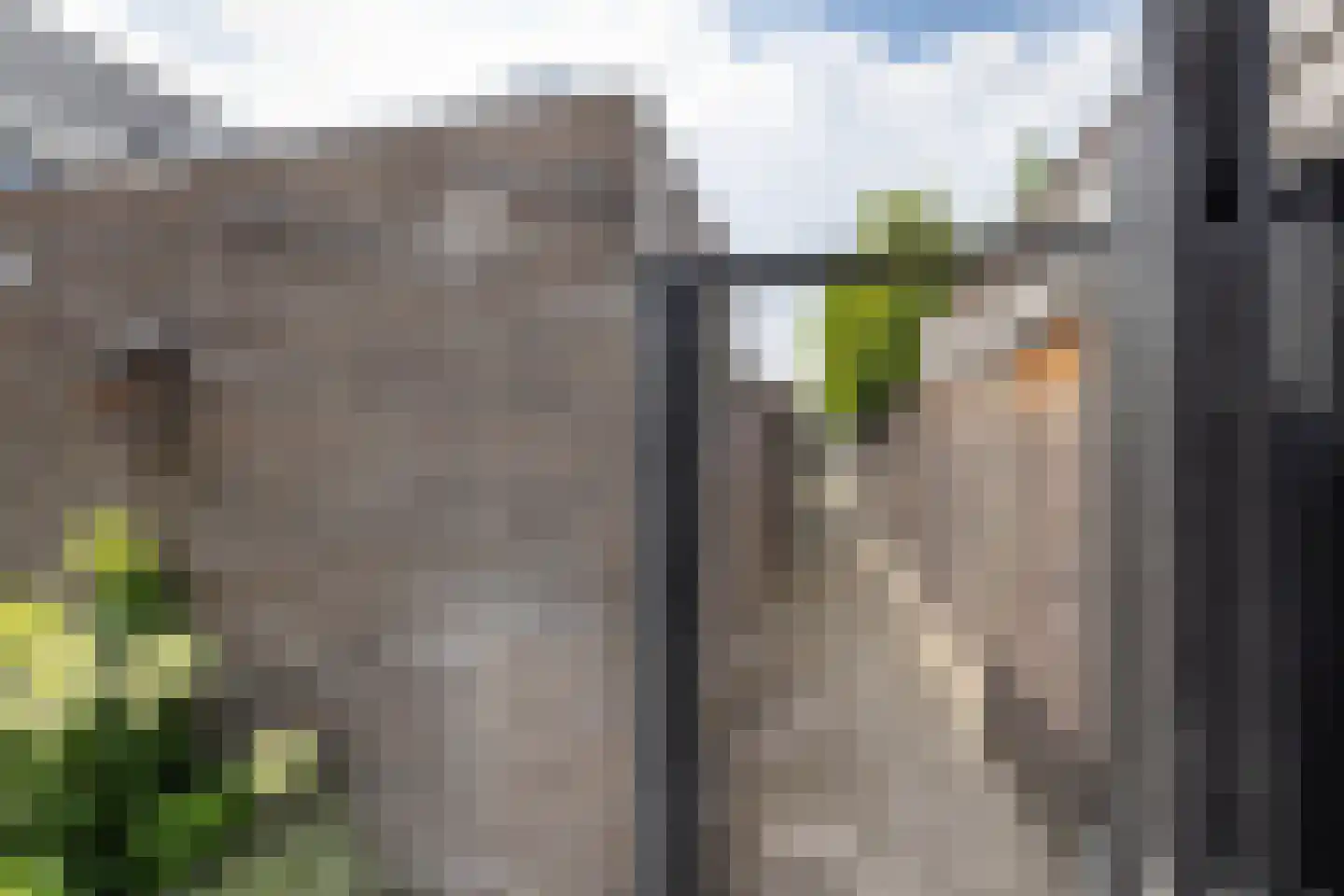 Aurelia 17 Borne thumbnail 36