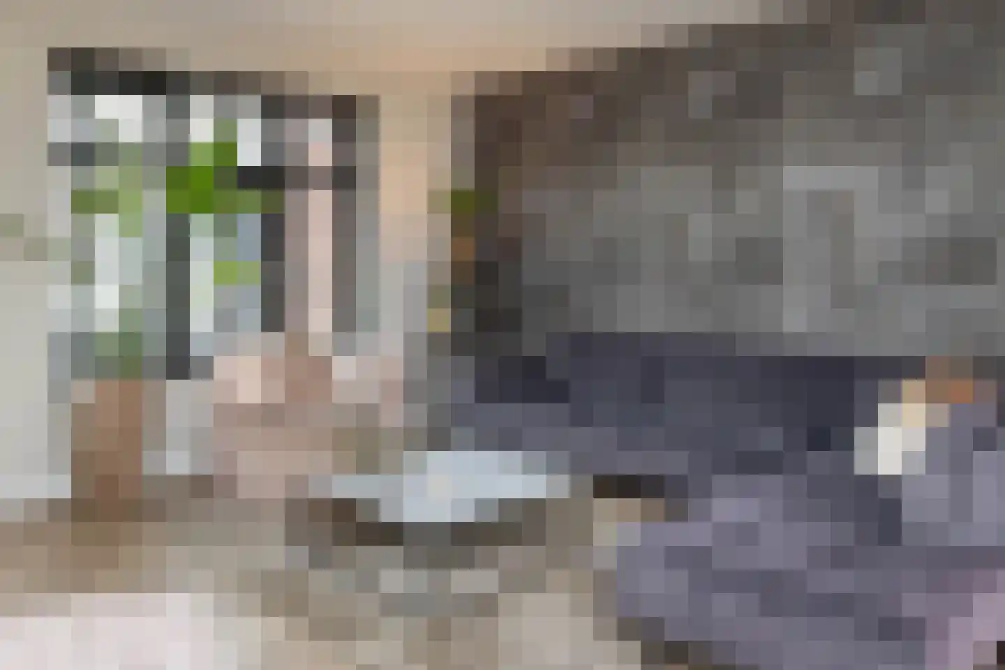 Aurelia 17 Borne thumbnail 8