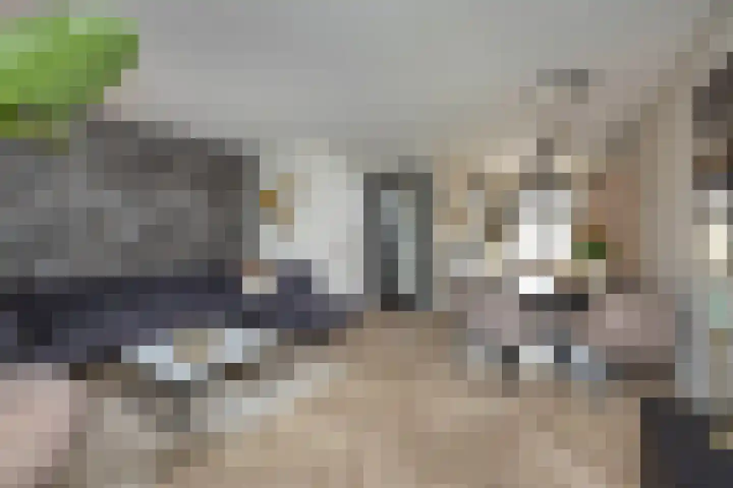 Aurelia 17 Borne thumbnail 9