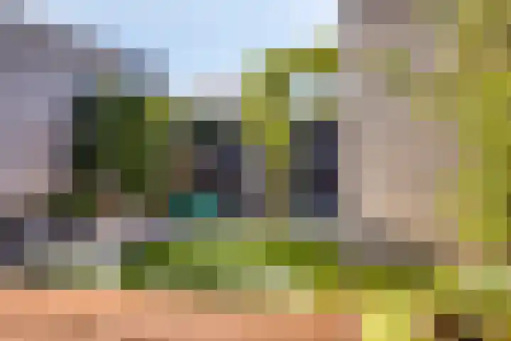 Aurelia 190 Apeldoorn thumbnail 38