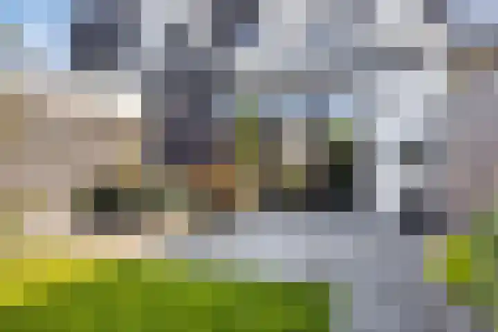 Aurelia 190 Apeldoorn thumbnail 39