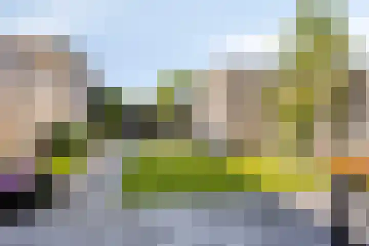 Aurelia 190 Apeldoorn thumbnail 4