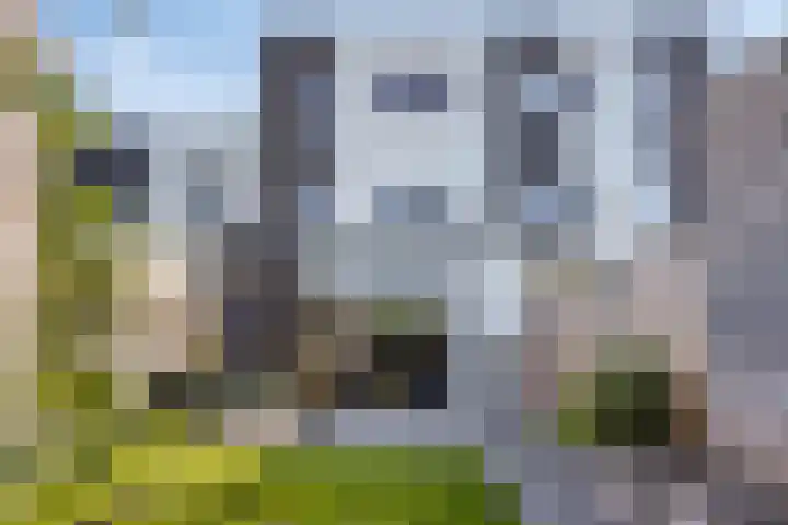 Aurelia 190 Apeldoorn thumbnail 41