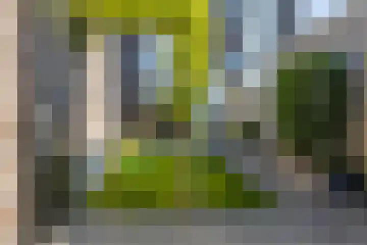 Aurelia 190 Apeldoorn thumbnail 43