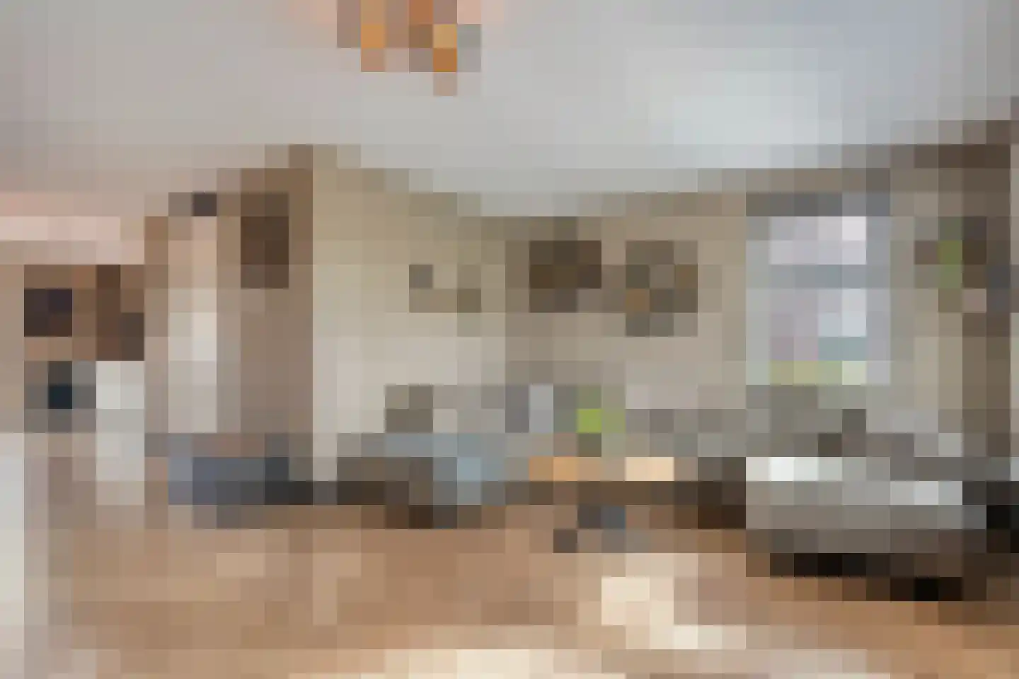 Aurelia 21 A Wolvega thumbnail 12