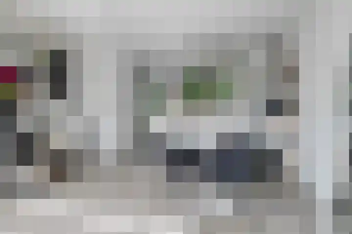 Aurelia 6 Terneuzen thumbnail 16