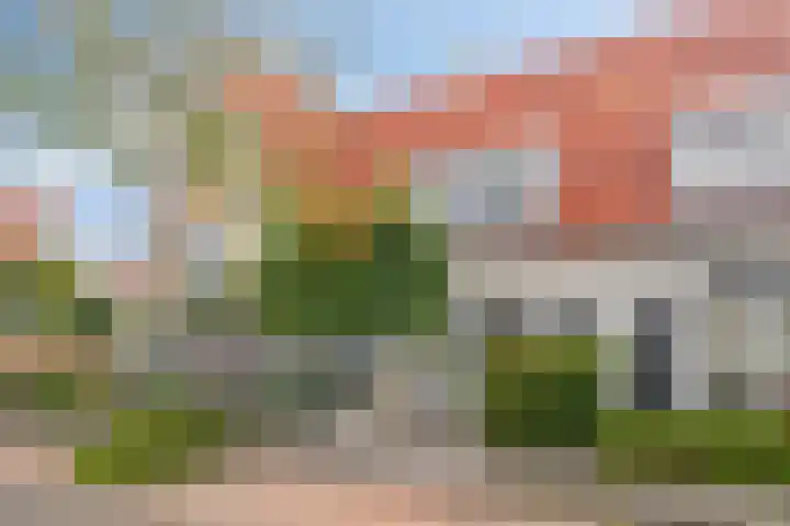 Aurelia 6 Terneuzen thumbnail 41